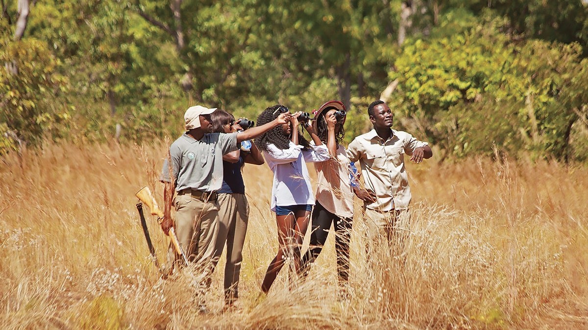 Image for Zaina Lodge Experience Promotion