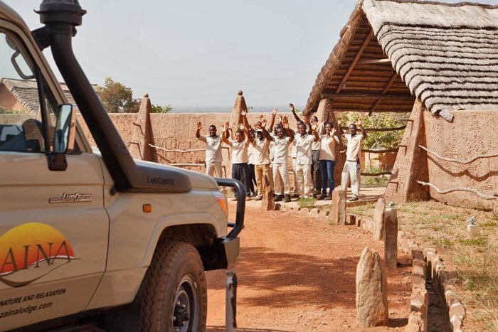 Image of a Zaina Lodge game drive vehicle leaving the lodge for an excursion into Mole National Park while the lodge staff wave goodbye to the guests in the vehicle